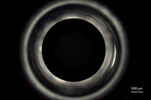 optical filters 1