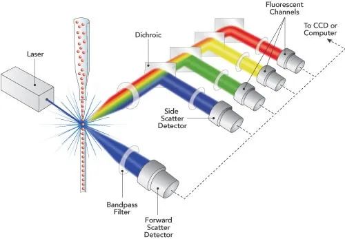 optical filters