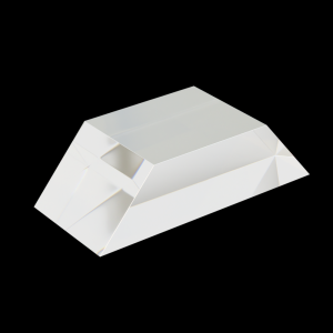 Dove Prism2 black
