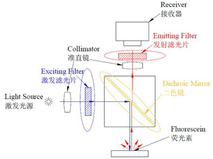 Fluorescence Analysis Filter