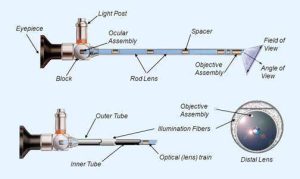 Optics in Medicine and Life Sciences