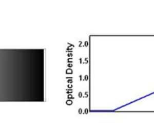 Linear Gradient Neutral Density Filter